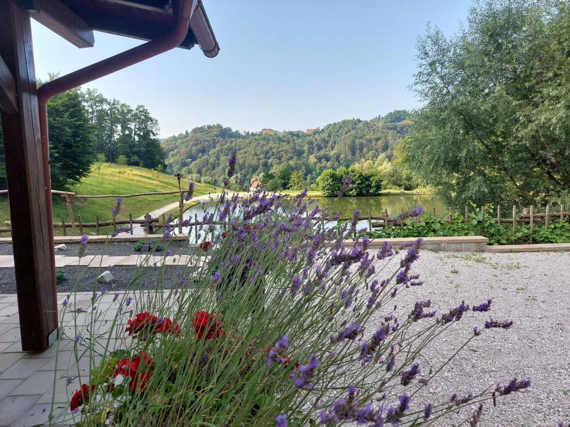 Bed and Breakfast Zelena Oaza Zgornja Kungota Exterior foto